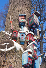 painted birds nesting-boxes on tree