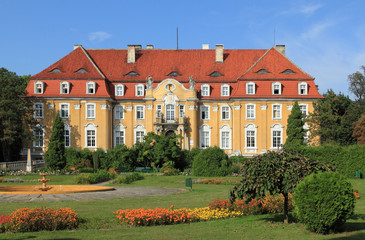 Fototapeta na wymiar Kochcice pałac w Polsce