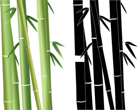 Bamboo a vector it is isolated © andrey7777777