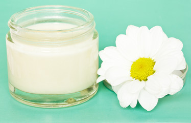 Obraz na płótnie Canvas jar with cream and camomile