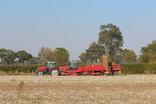 Potato Harvester