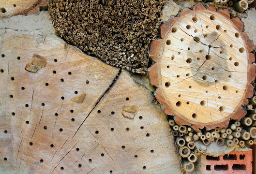 Insektennisth&ouml;hle