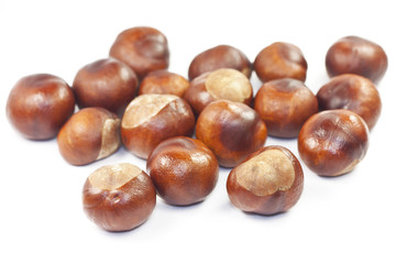 Many beautiful shiny brown chestnuts