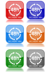 Delivery 48h  