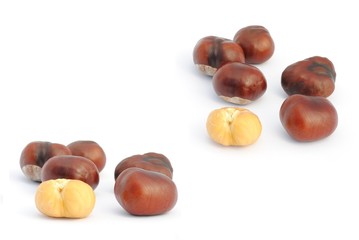 six chestnut, set of two different view