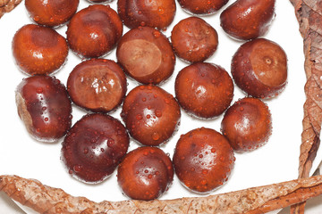 Wet autumn chestnuts on white dish with faded leaves