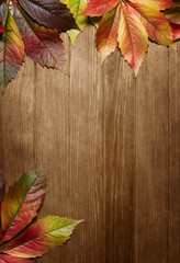 Naklejka na ściany i meble Jesienne liście na drewnianym tle z miejsca kopiowania