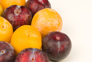 Assorted plums