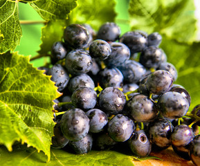 Little girl eating vegetable salad