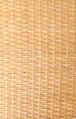 bamboo texture