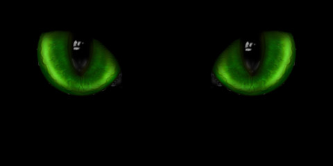 Obraz premium Two green cat eyes