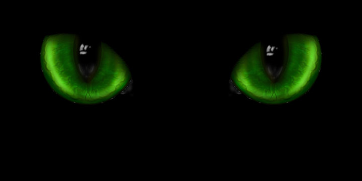 Two green cat eyes
