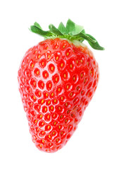 Single fresh red strawberry