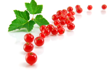 Isolated red currant
