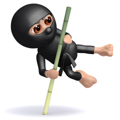 3d Ninja vaults over obstacle using bamboo © Steve Young