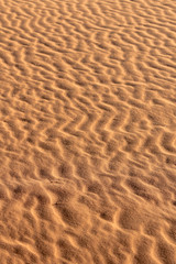 Soil detail of Sossusvlei sand dunes, Namib desert