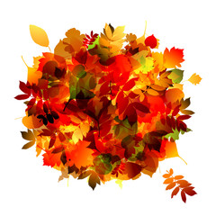 Autumn bouquet with leaf for your design