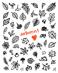 Autumn background, sketch drawing for your design