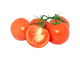 Tomatos 4