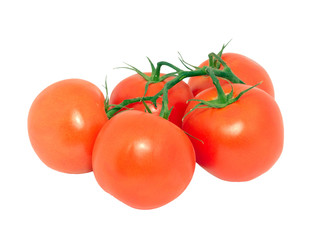 Tomatos 3