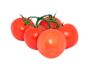 Tomatos 2