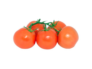 Tomatos 1