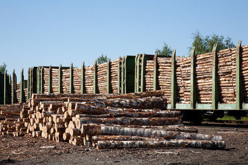 Commodity cars transporting wood stand in a warehouse