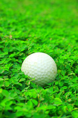 Golf ball