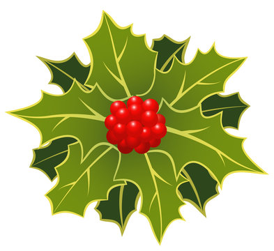 Christmas holly with berry