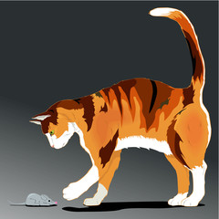 Illustration of very fat cat hunts on a mouse