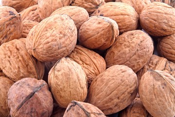 Walnuss