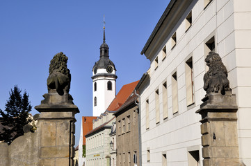 Fototapeta premium Torgau Marienkirche mit Schloss Löwen