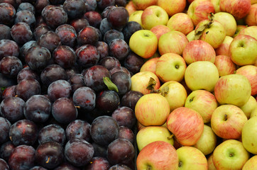 close up of fruits on market stand