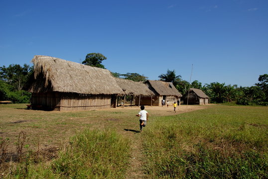 Jungle Village