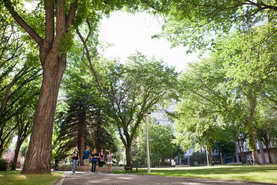 Group Of University Students Walking On Campus