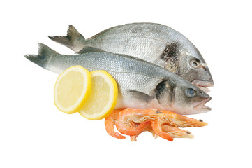 Dorado, seabass and shrimp isolated on white