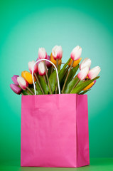 Tulips in the bag against gradient background