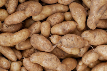 Fresh potatoes at a farmers market