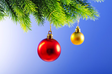 Baubles on christmas tree in celebration concept