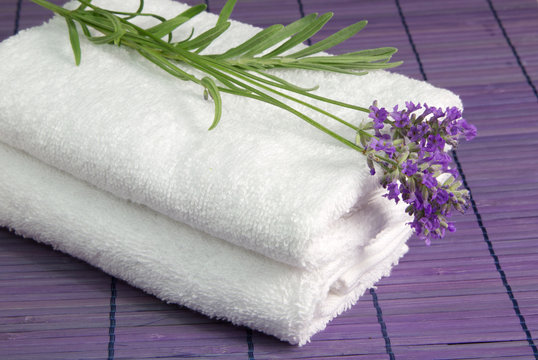 Aromatherapie mit Lavendel