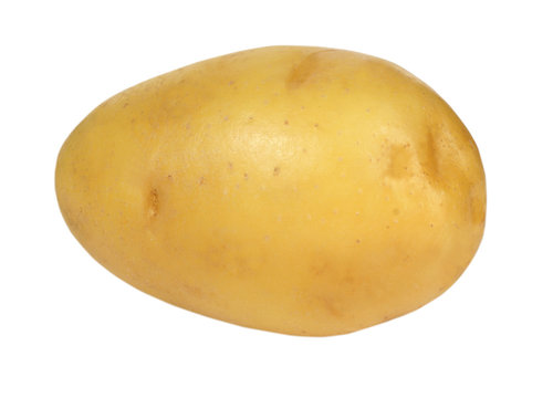 potato on white background