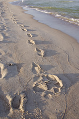 traces on the morning sea sand