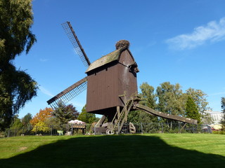 Holländische Windmühle mit Storchennest auf dem Dach