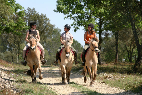 Equitation balade - Riding