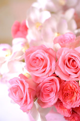 Obraz na płótnie Canvas Zbliżenie pink rose