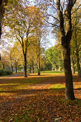 Fototapeta premium Herbsttag