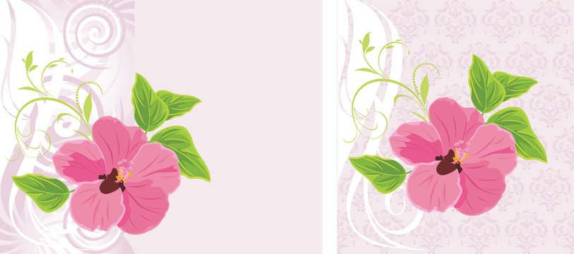 Pink flower on the decorative background. Two cards
