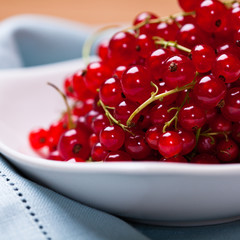 Red Currant