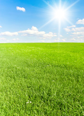 Sunny Fields Sun in the Sky