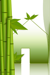 bamboo and house